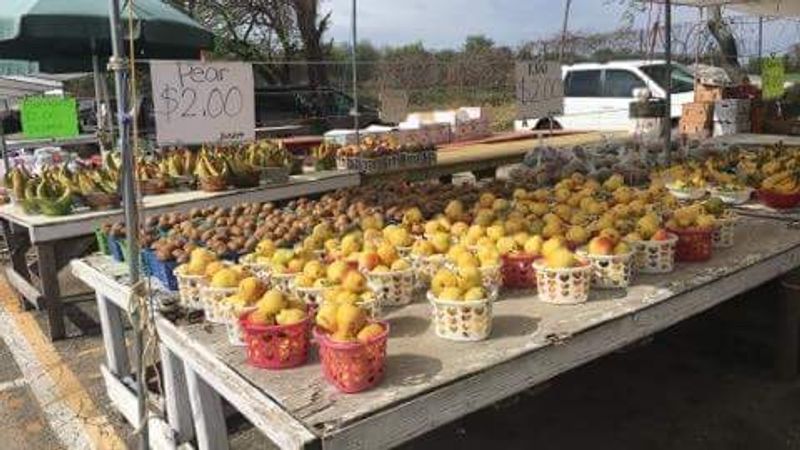 Summer Visits: When the Market Hits Its Peak