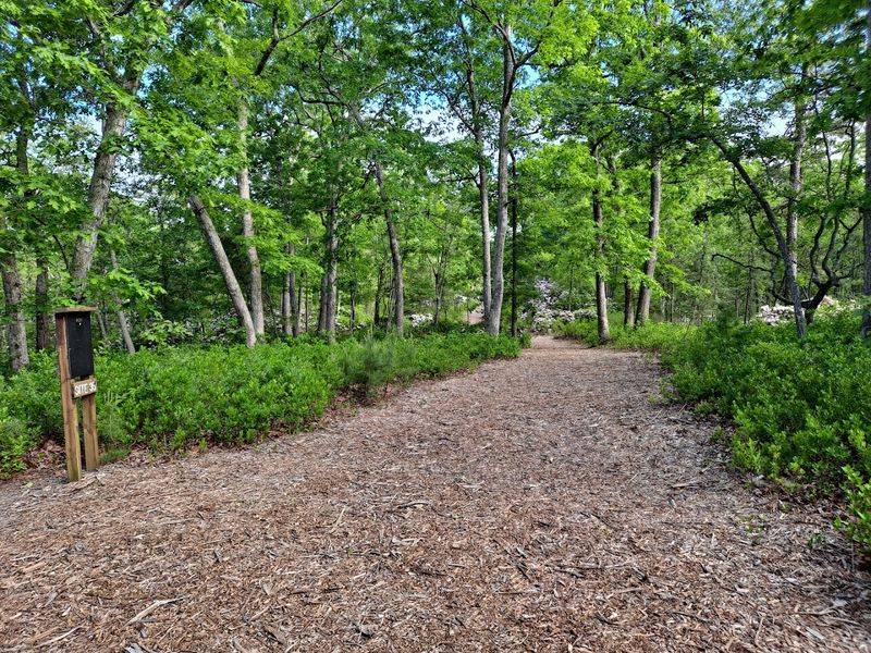 Best Times to Visit and What to Expect by Season