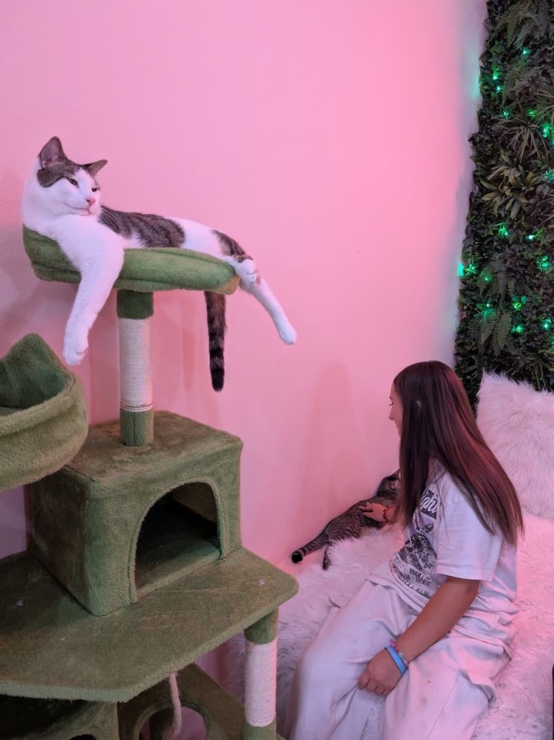 The Staff Who Make It Work