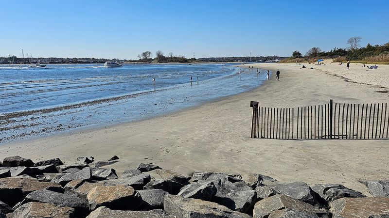 The Dog-Friendly Corner at Fisherman's Cove