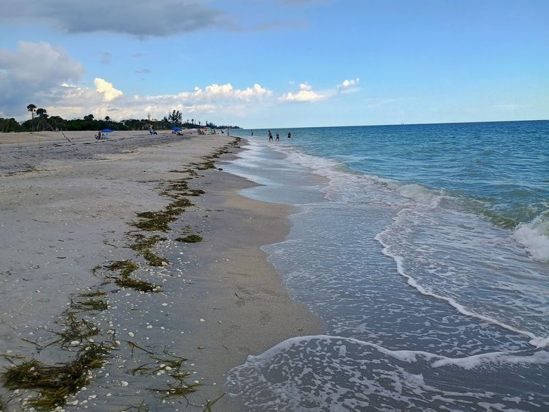 Hurricane Recovery: The Park After Recent Storms