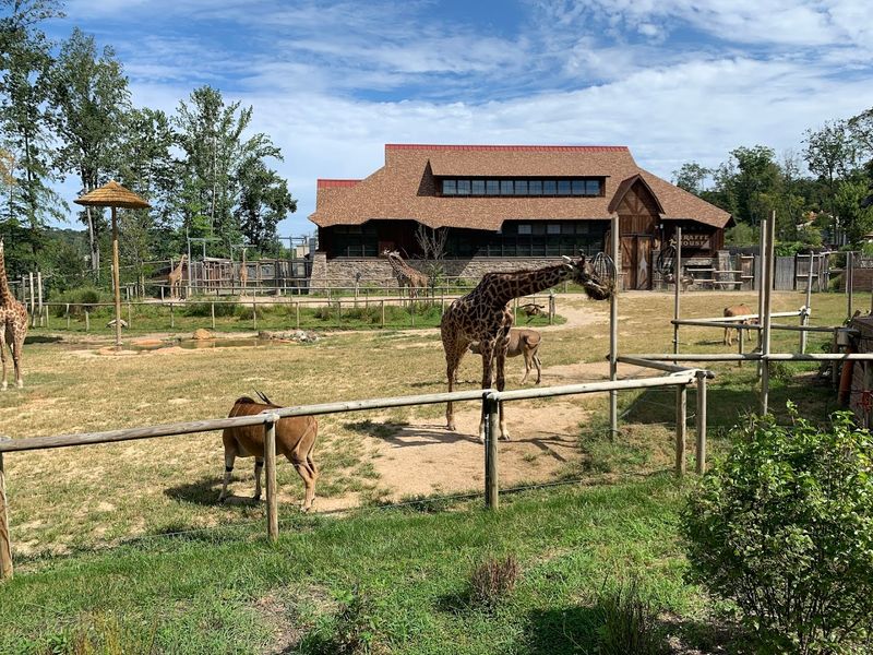 The Zoo Next Door Changes the Whole Day