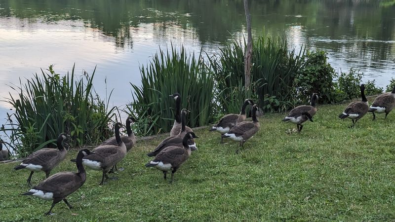 Wildlife and Nature Up Close