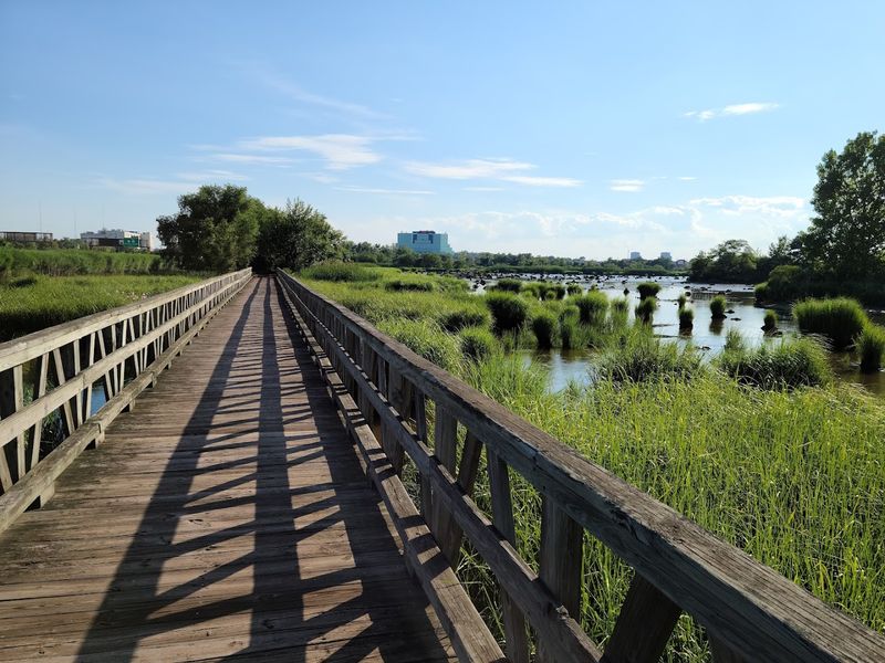 Mill Creek Marsh (Secaucus)