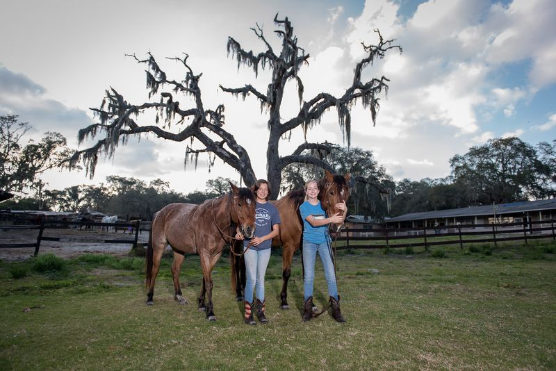 The Horses: Well-Trained, Well-Loved, and Ready to Ride