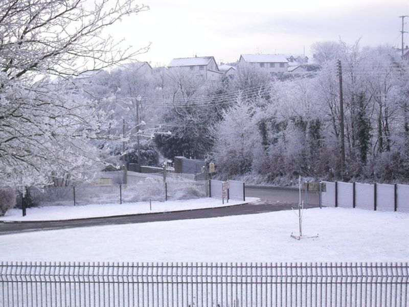 Burning Trash in the Backyard to Stay Warm