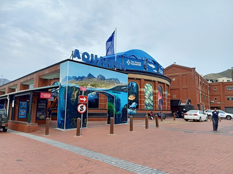 Two Oceans Aquarium — Cape Town, South Africa