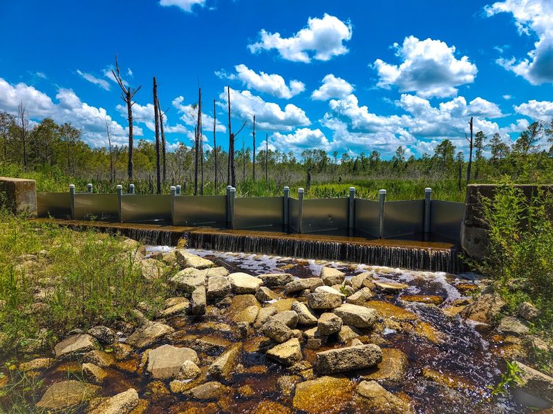 The District's Role: What the Improvement District Actually Does