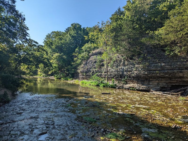 Camping Under the Stars in a Canyon Setting