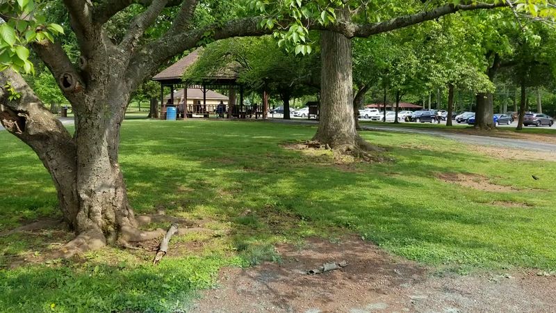 Picnics, playgrounds, and family time