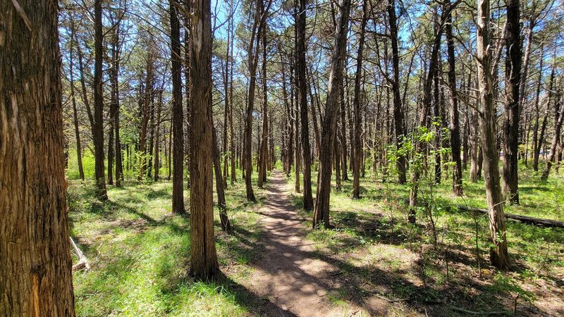 Where Exactly You Will Find This Place