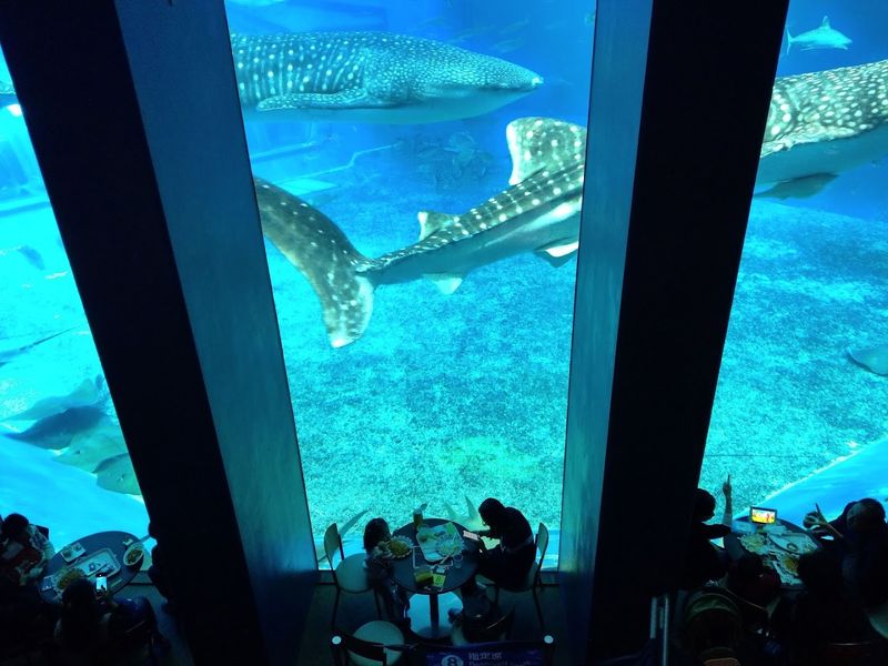 Okinawa Churaumi Aquarium — Okinawa, Japan