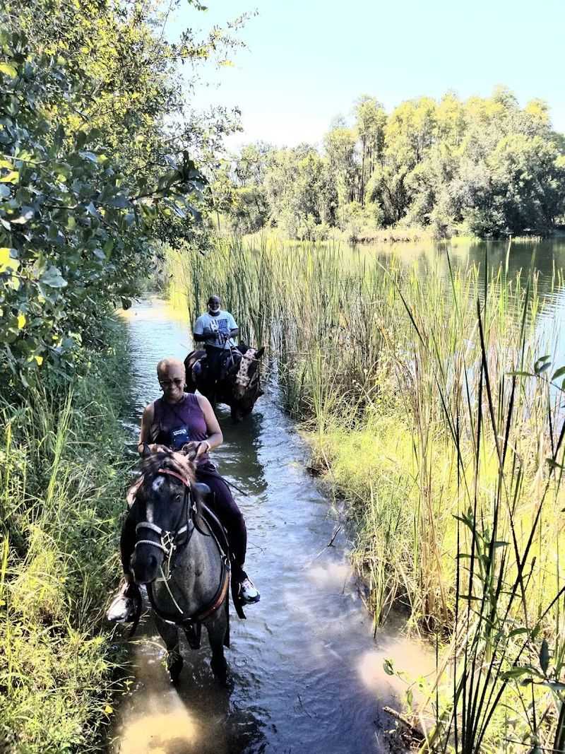 The Setting: Tampa's Natural Side Shows Up Here