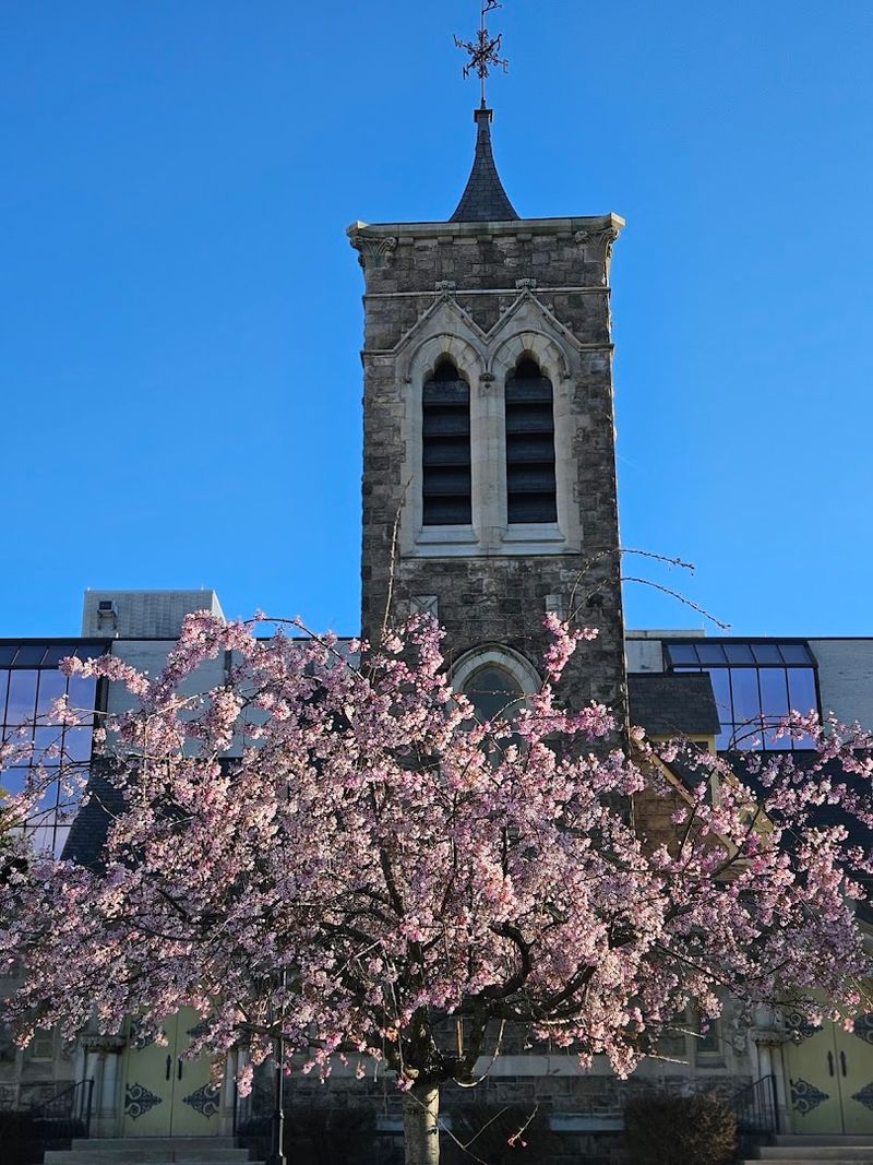 First Reformed Church, Somerville