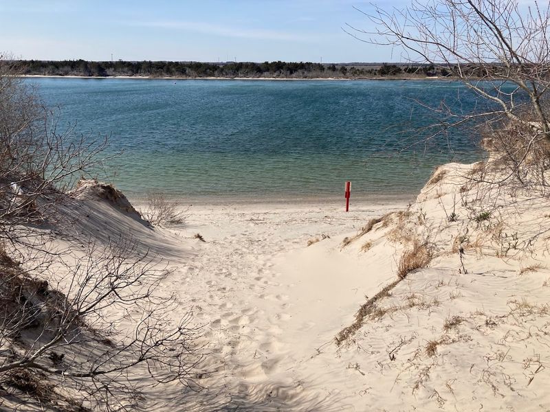 Corson's Inlet State Park: A Quieter Side of the Island