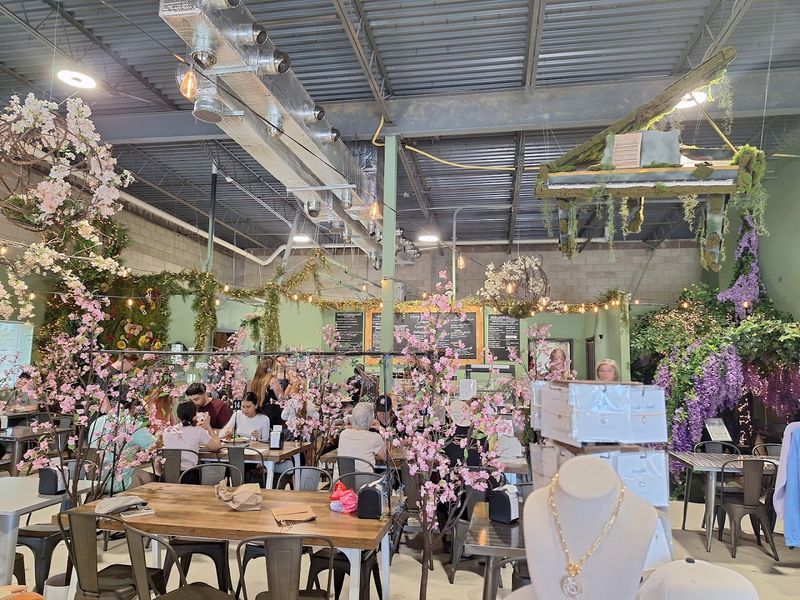 The Atmosphere and Decor