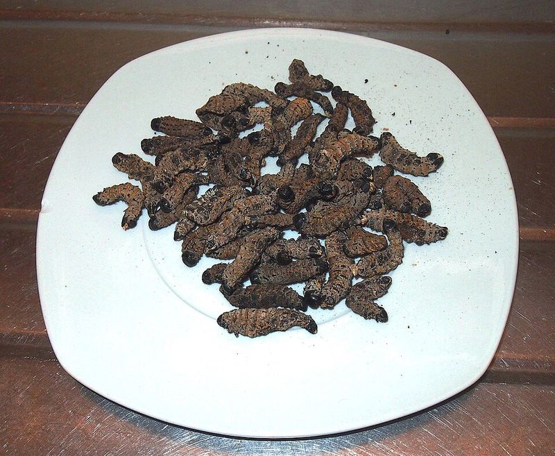 Mopane Worms - Southern Africa