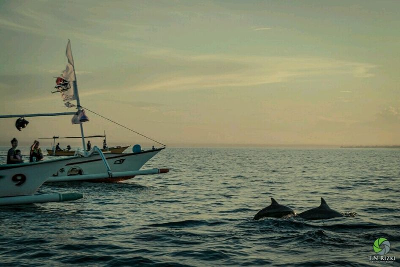 Lovina Beach (Bali, Indonesia)