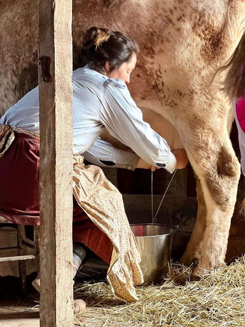 Free Admission, Serious Education