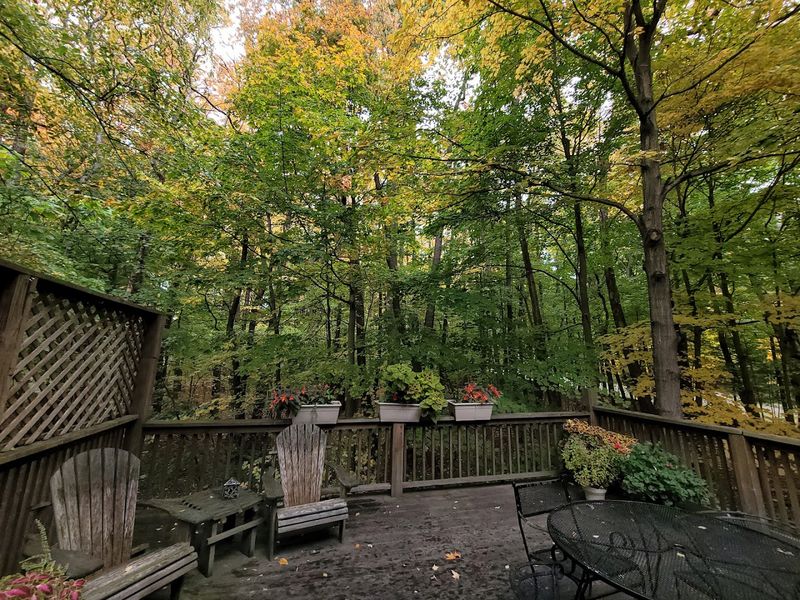 Seasonal Magic That Shifts the Whole Mood