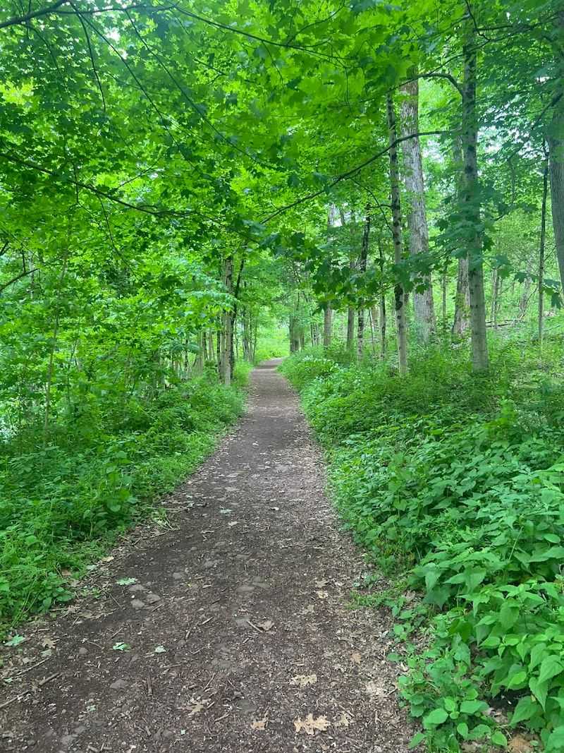 Billy Johnson Mountain Lakes Preserve (Princeton)