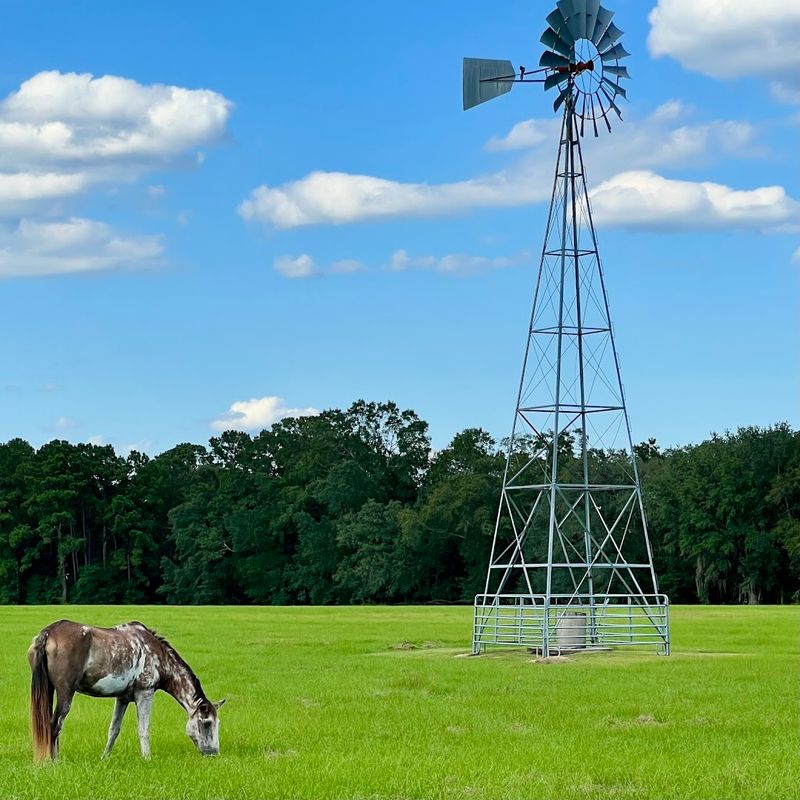 Parks, Nature, and Outdoor Life Near Quincy