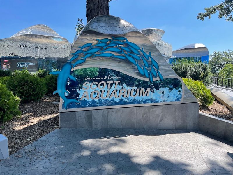 The Butterfly Pavilion: Peaceful, Colorful, and Surprisingly Moving