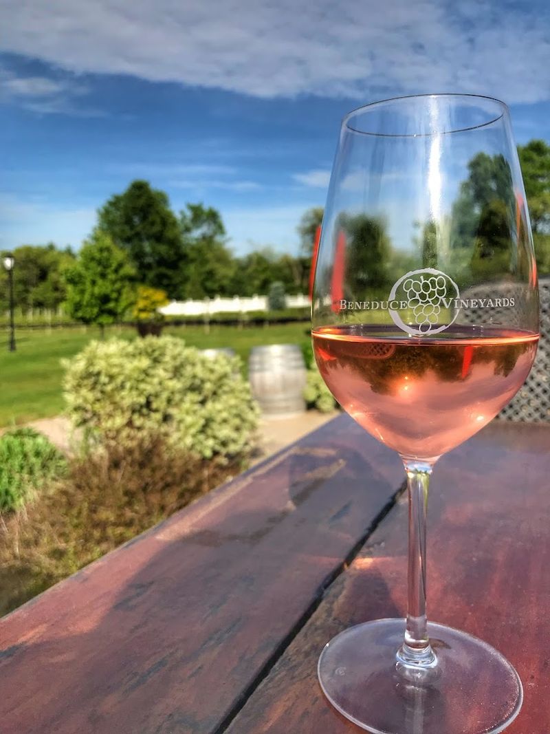 The Bigger Picture: Why This Winery Matters for New Jersey