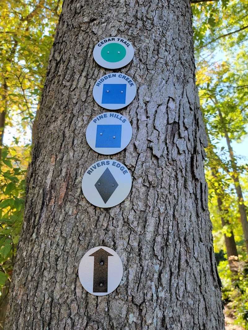 Practical Tips Before the First Visit