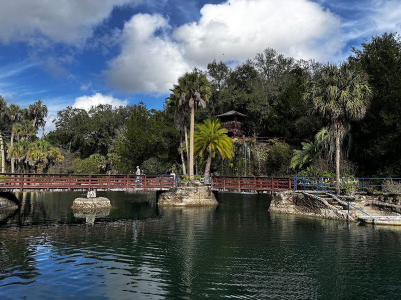 Christmas in the Quarry: A Nighttime Event