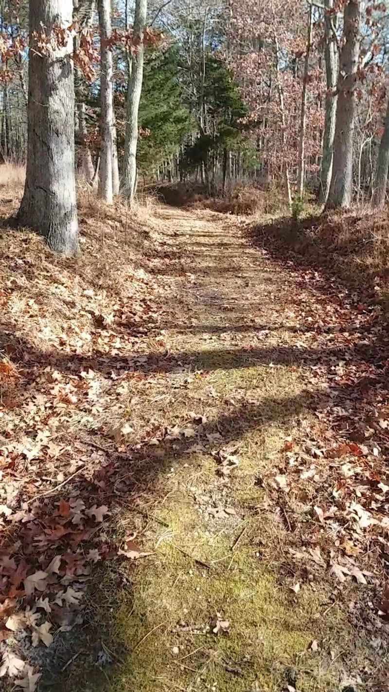 Practical Tips Before Your First Visit