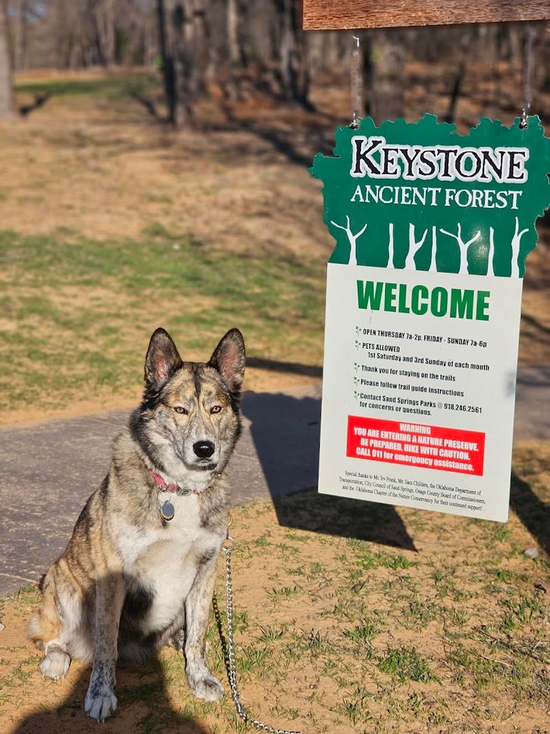 Volunteers, Staff, and the Community Behind the Forest