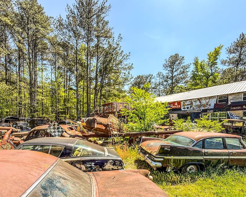 Why This Place Matters Beyond Georgia