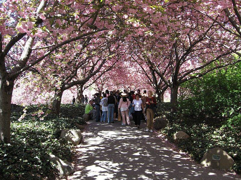 Brooklyn, New York, USA