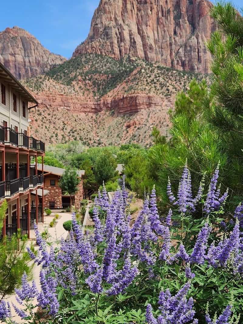 Springdale (Zion Area), Utah