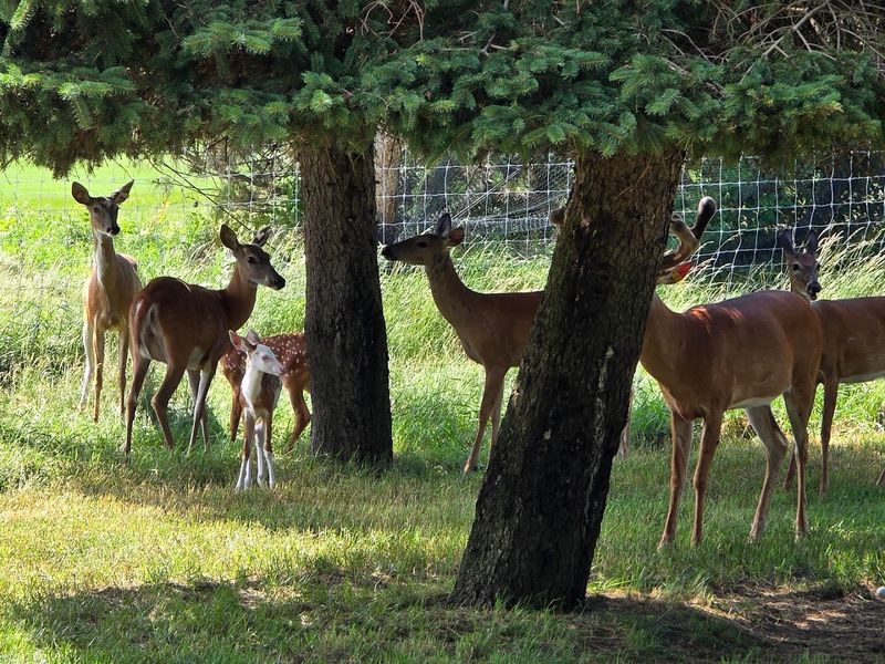 Who Will Enjoy It Most