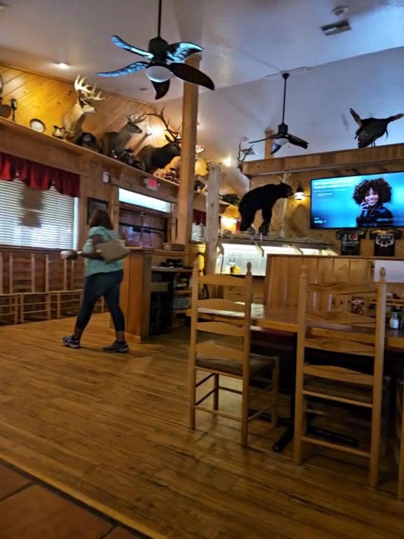 A Road-Tripper's Reliable Pit Stop