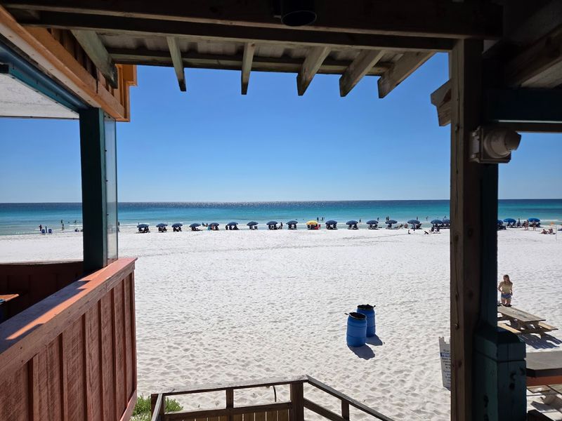 Crowd Levels and the Best Time to Visit