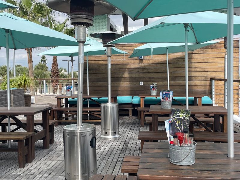 Pet-Friendly Dining That Welcomes the Whole Family