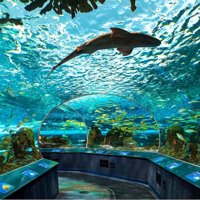 Ripley's Aquarium of Canada — Toronto, Canada