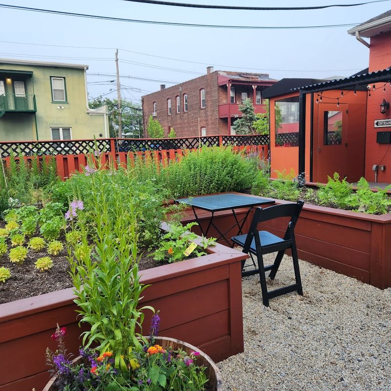 The Garden and Outdoor Dining Experience