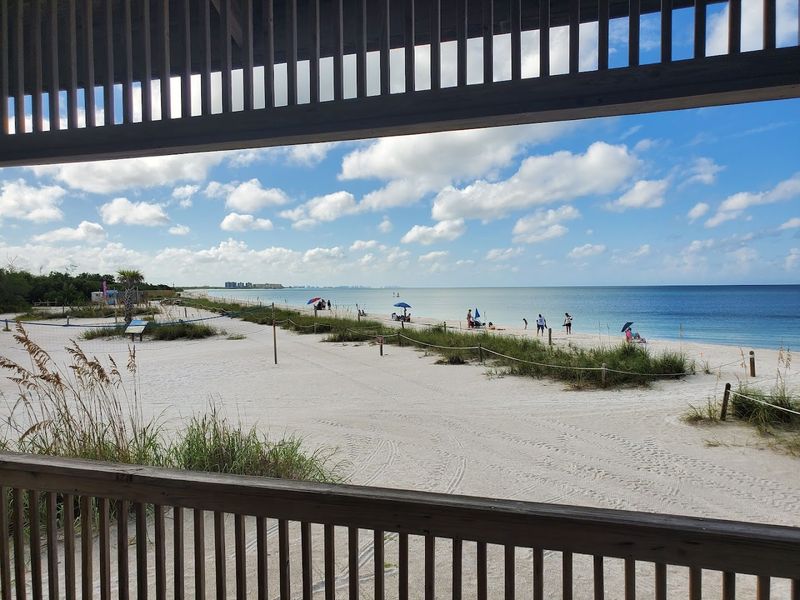 Best Times to Visit and What to Expect