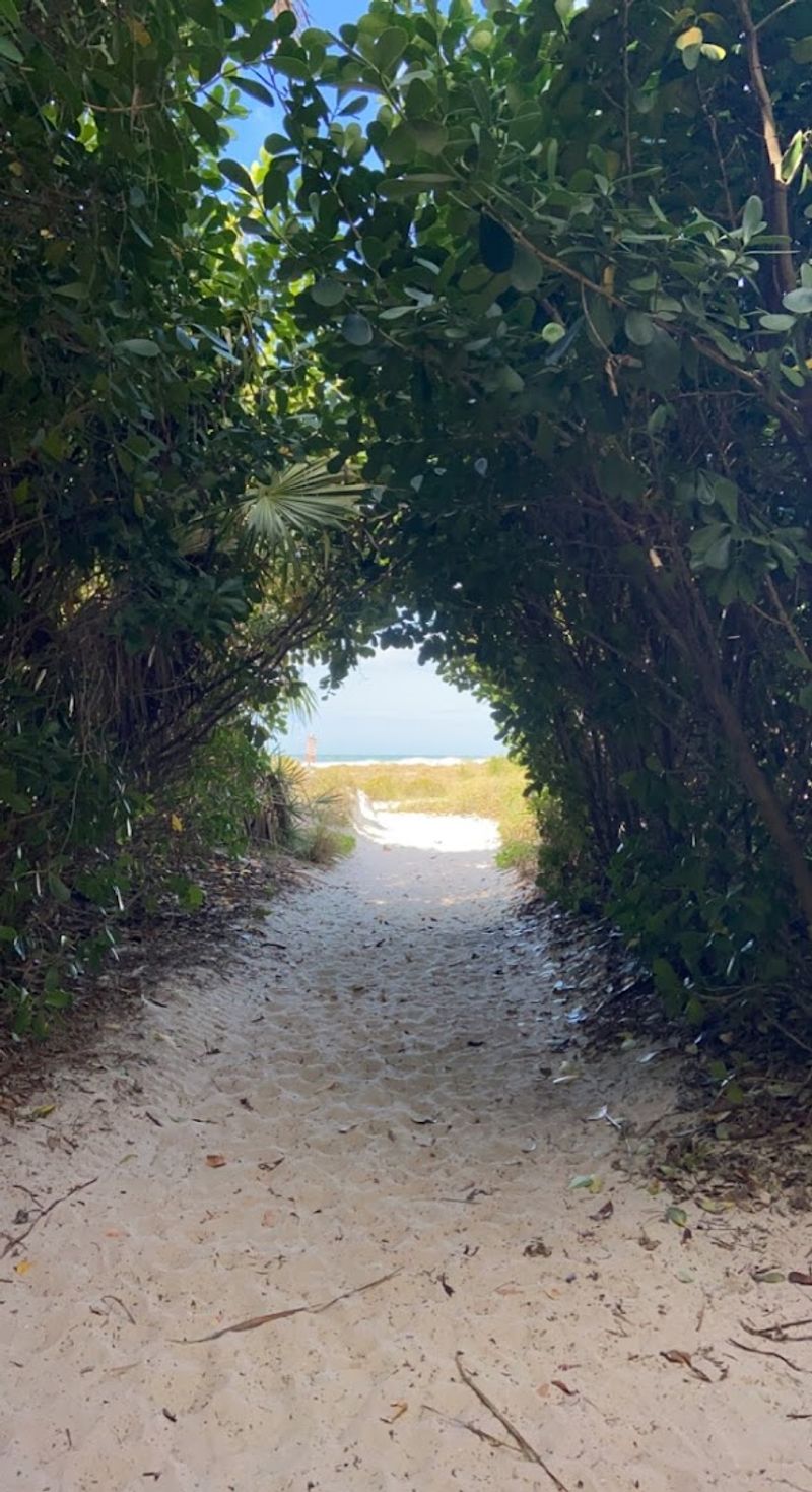 Why the Crowd Stays Small and the Mood Stays Calm