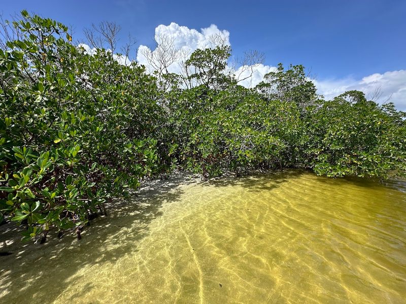 The Trails That Show You the Other Side of the Island