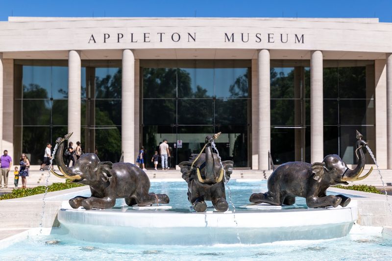 Appleton Museum of Art