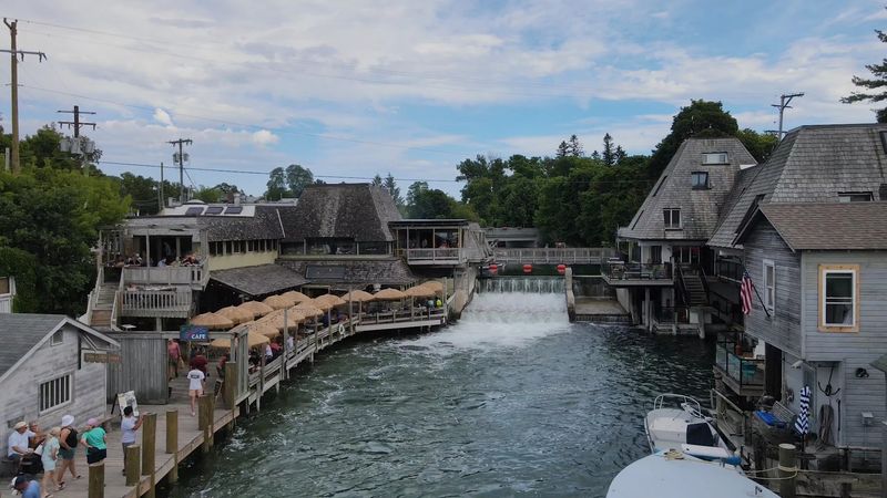The Salmon Run: Nature's Most Dramatic Free Show