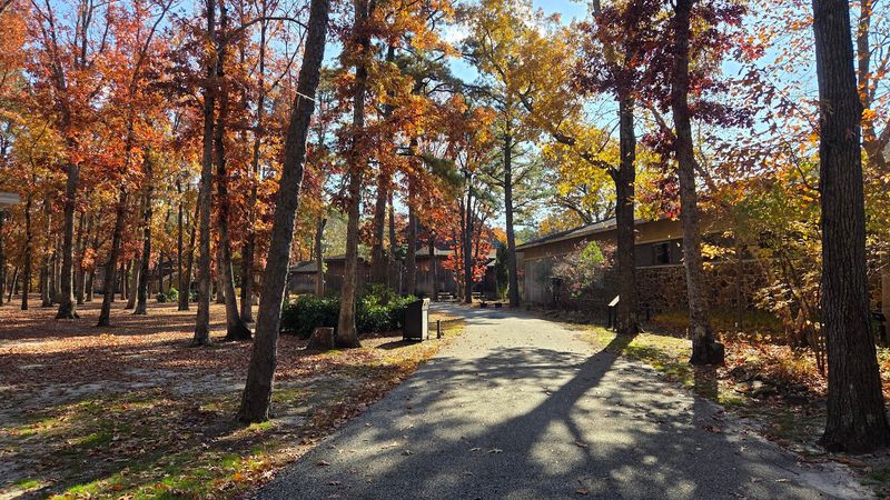 The Grounds, Nature Trail, and Outdoor Space