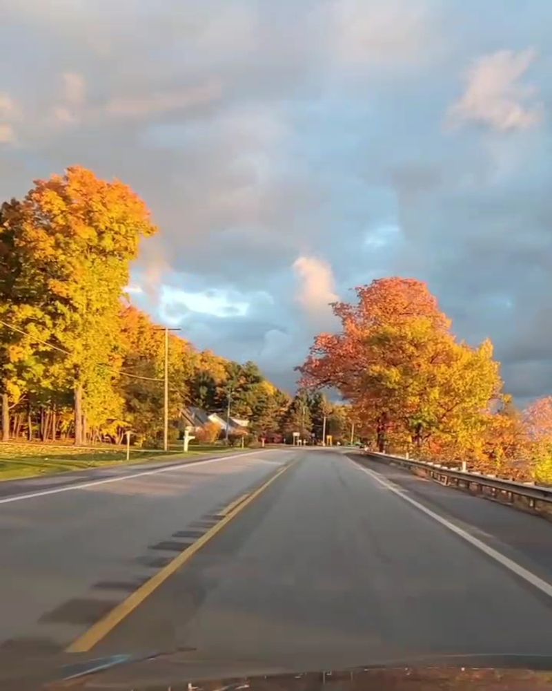 The Drives Are Half the Reason to Come