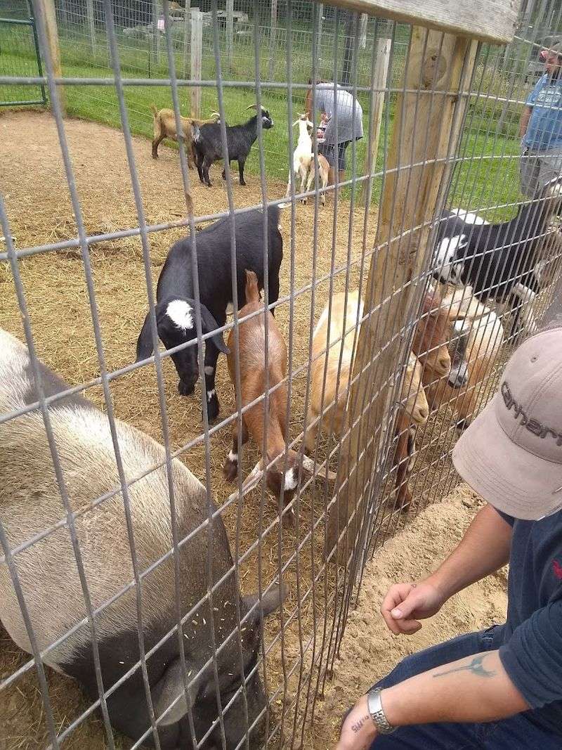 The Staff Make the Place Work