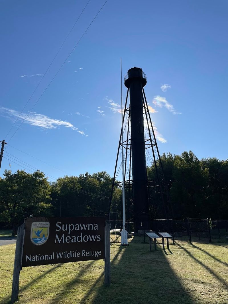 Planning Your Visit: Practical Details Worth Knowing